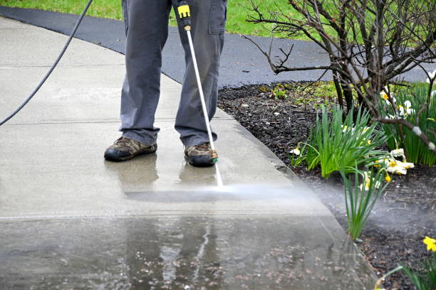 Revitalize Your Surfaces: Pressure Washing Services in Parkland